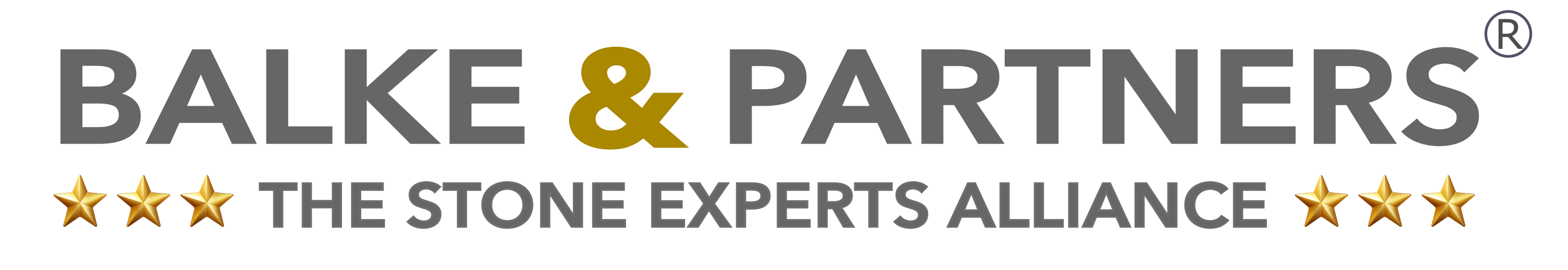 BALKE & PARTNERS LLC 