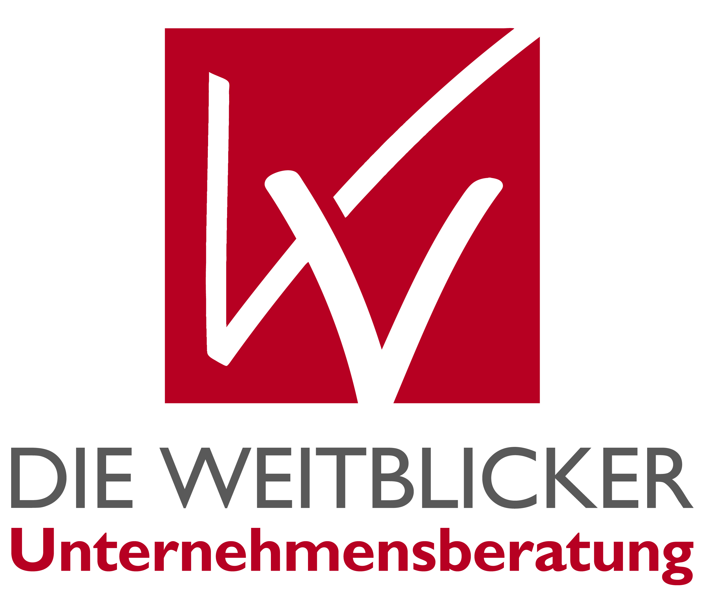 DIE WEITBLICKER Unternehmensberatung
